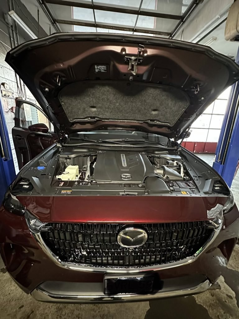 Engine Bay — SPS Autocare