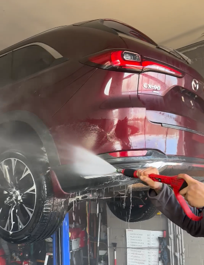 Car Cleaning — SPS Autocare